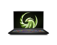 MSI Bravo 17 A4DDR-082, 17 17.3" 144Hz Gaming Laptop AMD Ryzen R7-4800H RX5500M 16GB 512GB NVMe SSD +1TB Win10, BRAVO17082